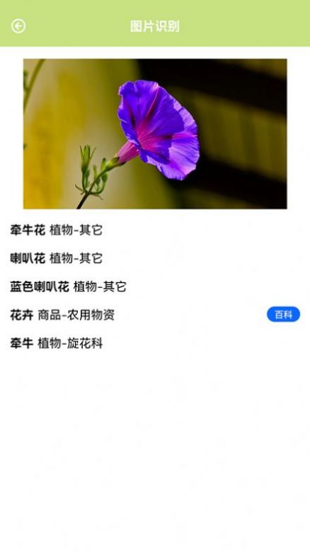 ʶֲappֻͼ2: