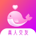 Ļappٷ v1.1.0