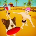 沙滩飞盘3D游戏安卓最新版 v1