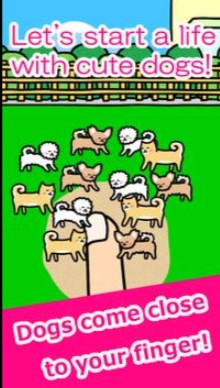 Play with DogsϷ׿°ͼ1: