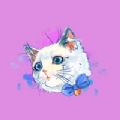 Kitty dance party app