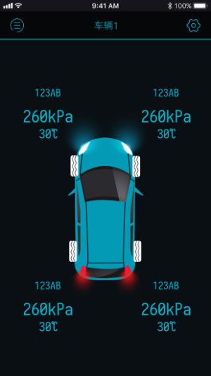 Safe TPMS appͼ3