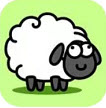sheep sheepϷ