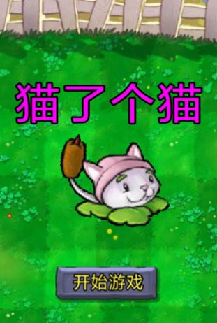 ����è�˸�èС��Ϸ���ذ�װͼ2: