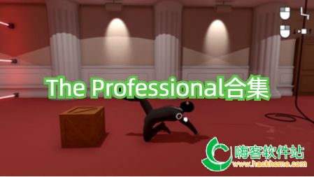 The Professionalϼ