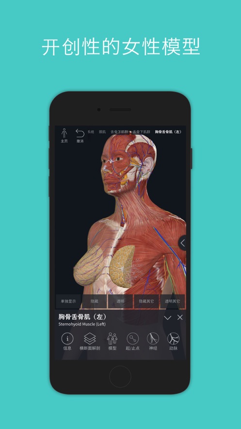complete anatomy2024׿İ漤dD2: