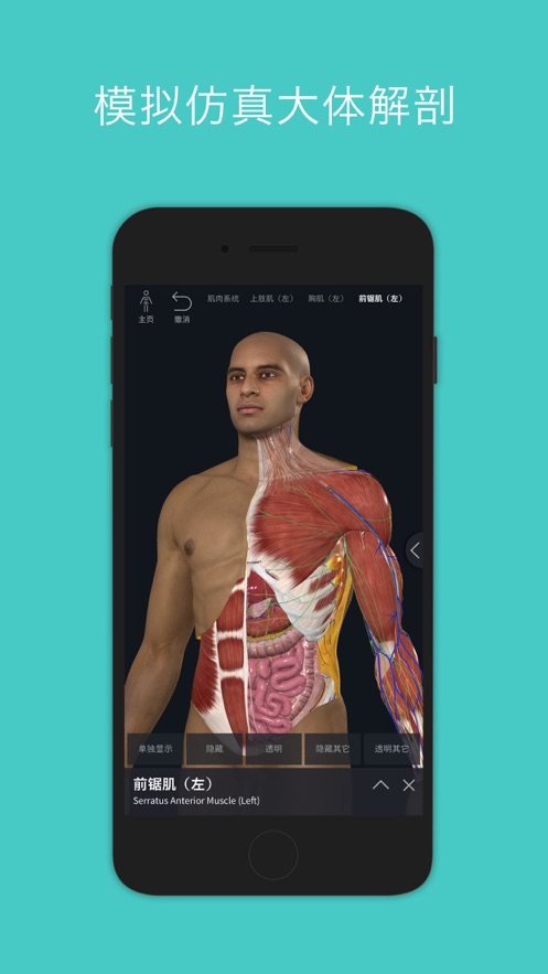 complete anatomy2024׿İ漤dD1: