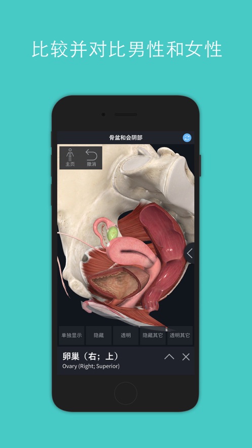 complete anatomy2024׿İ漤dD3: