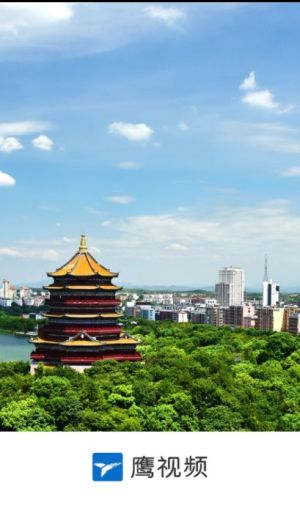 鷹視頻新聞app官方下載圖片1