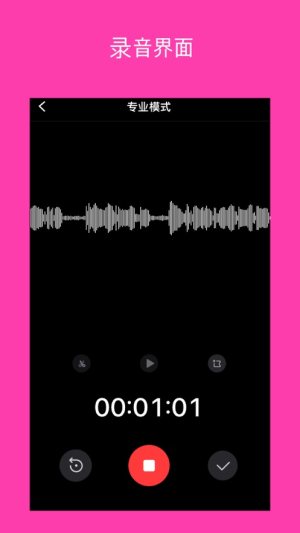 ProAudio appD2