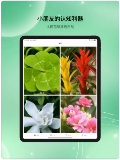 花草图鉴appv1.0
