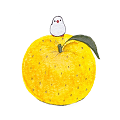 Food with Birdֽٷ v1.0.0