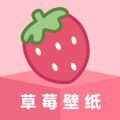 草莓壁纸app高清版下载 v1.7.0