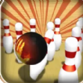 Bowling 3D Cool Strike Wins游戏下载安卓版 v1.0