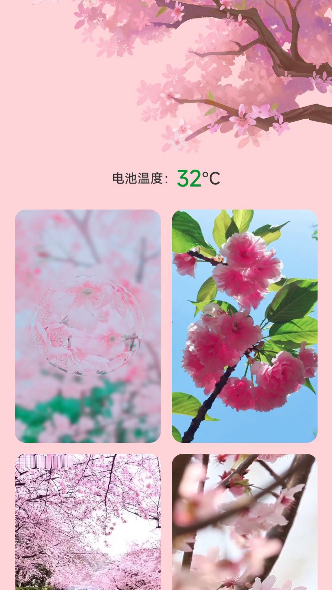 ӣذװͼ2: