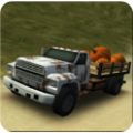 Dirt Road Trucker 3D°汾