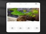 CCD˾ٷֻ v1.0.0