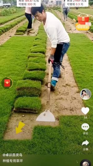 ϲappD3