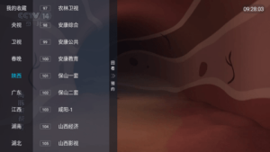 ϲTV appD2