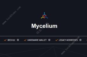MyceliumXȫ MyceliumXȫԽBDƬ1