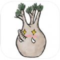 Pocket Succulent app