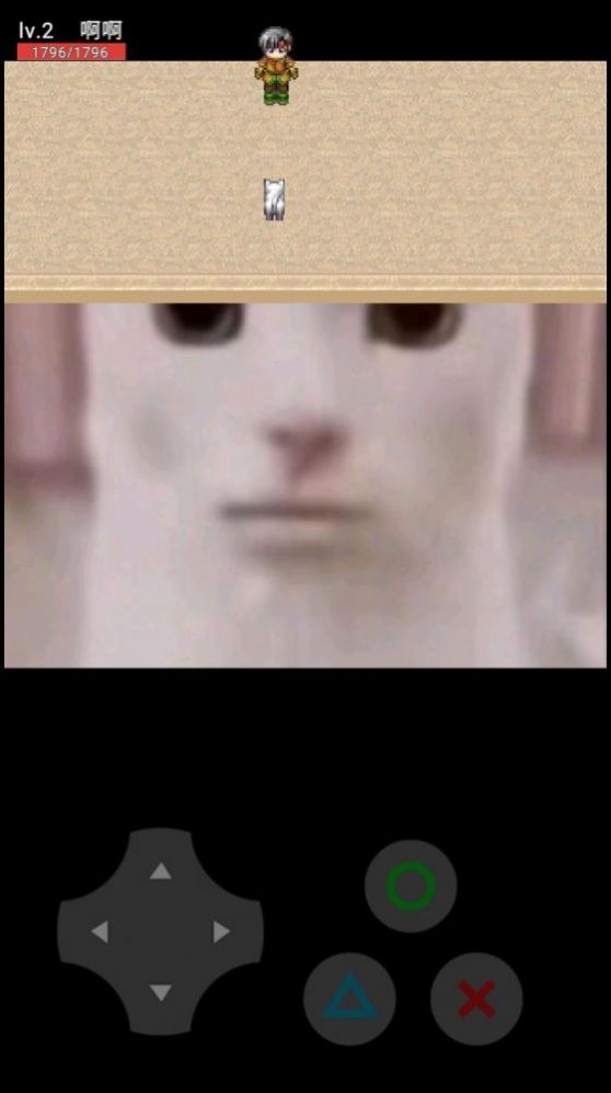 ؈؈@2oVdMD2: