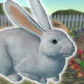兔子朋友游戏最新版（usagi） v1.3.0