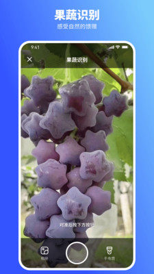 gϲappD2