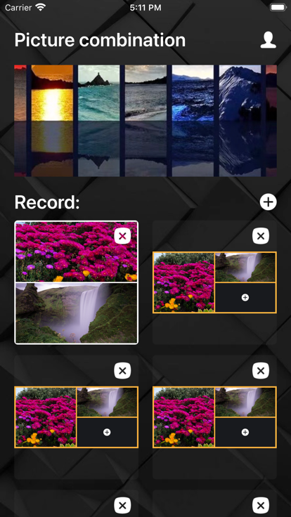 WBZ Picture Combination appv1.0.1