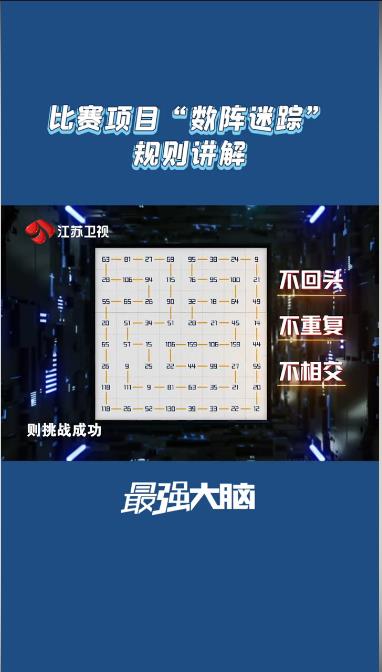 最强大脑数阵迷踪游戏app最新版图2