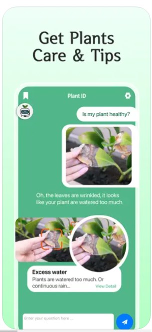 AI Plant Care Expert AssistantֲﻤappֻͼƬ1