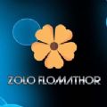 Zolo Flomathor