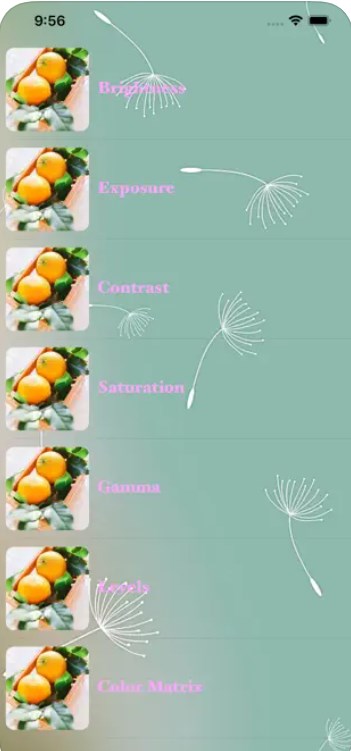 便捷调色机appv1.0