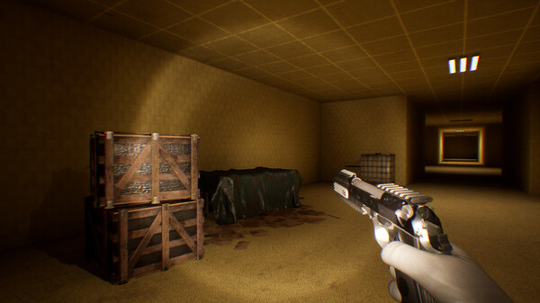 Backrooms Apprehension[İD1:
