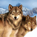 Ұģ3DϷٷ׿ v1.2
