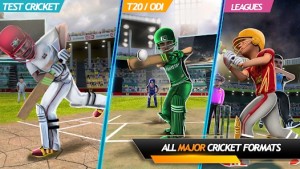 RVGʵİϷأRVG Real World Cricket GameͼƬ1