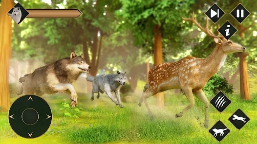 ģM2İ[׿dolf Simulator Wild Animal SimD1: