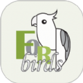 forbirds app