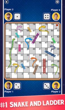 Snake Ladder[D3