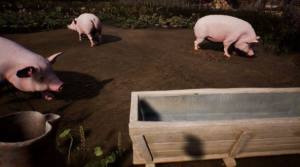 ģMRanch Simulator֙CD2