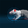 老鼠狙击手手游下载安装（AirRifle 3D RatShooting） v0.6.5