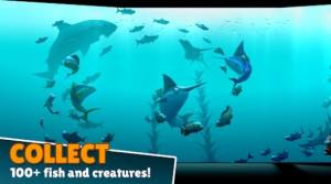 [hD1