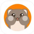 我的仓鼠日常app安卓版下载 v1.0