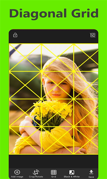 Grid for Drawingͼ°ͼ2: