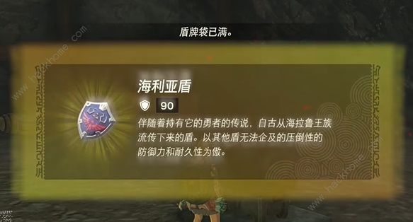 王國之淚海利亞盾碎了怎麼辦 海利亞盾碎了修複方法圖片1