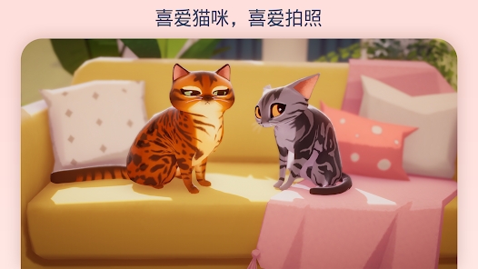 ҵ؈㘷°dİ棨My Cat ClubD2: