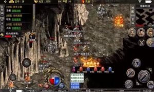 [D3