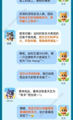世上第一隻邊牧何時誕生7.24答案 淘寶大贏家7月24日今日答案分享圖片2