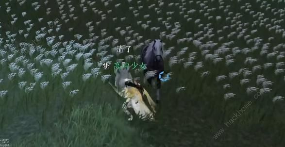 ˮΰ«ô «ɹͼƬ2