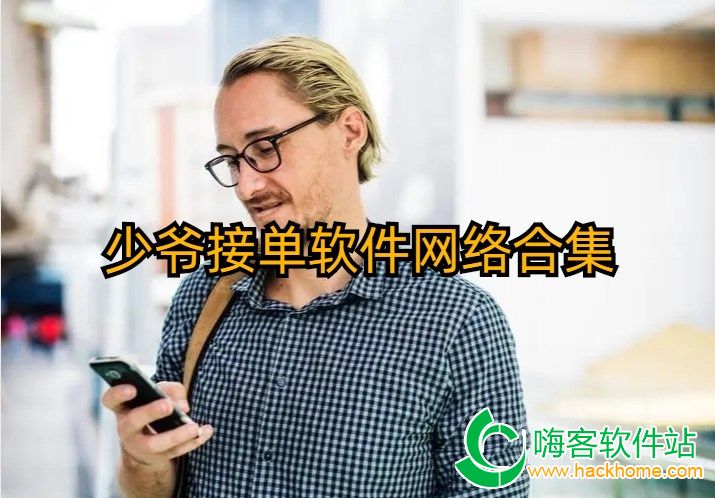 少爷接单软件网络合集